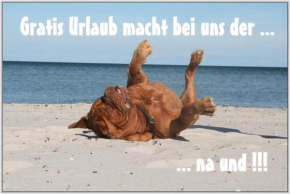 Bungalow WALD & SAND direkt am Strand, Dranske
